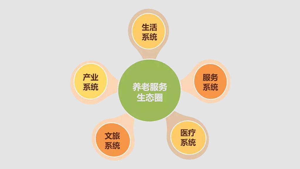 打造養(yǎng)老數(shù)字化平臺(tái) 賦能養(yǎng)老行業(yè)規(guī)?；l(fā)展(圖10)